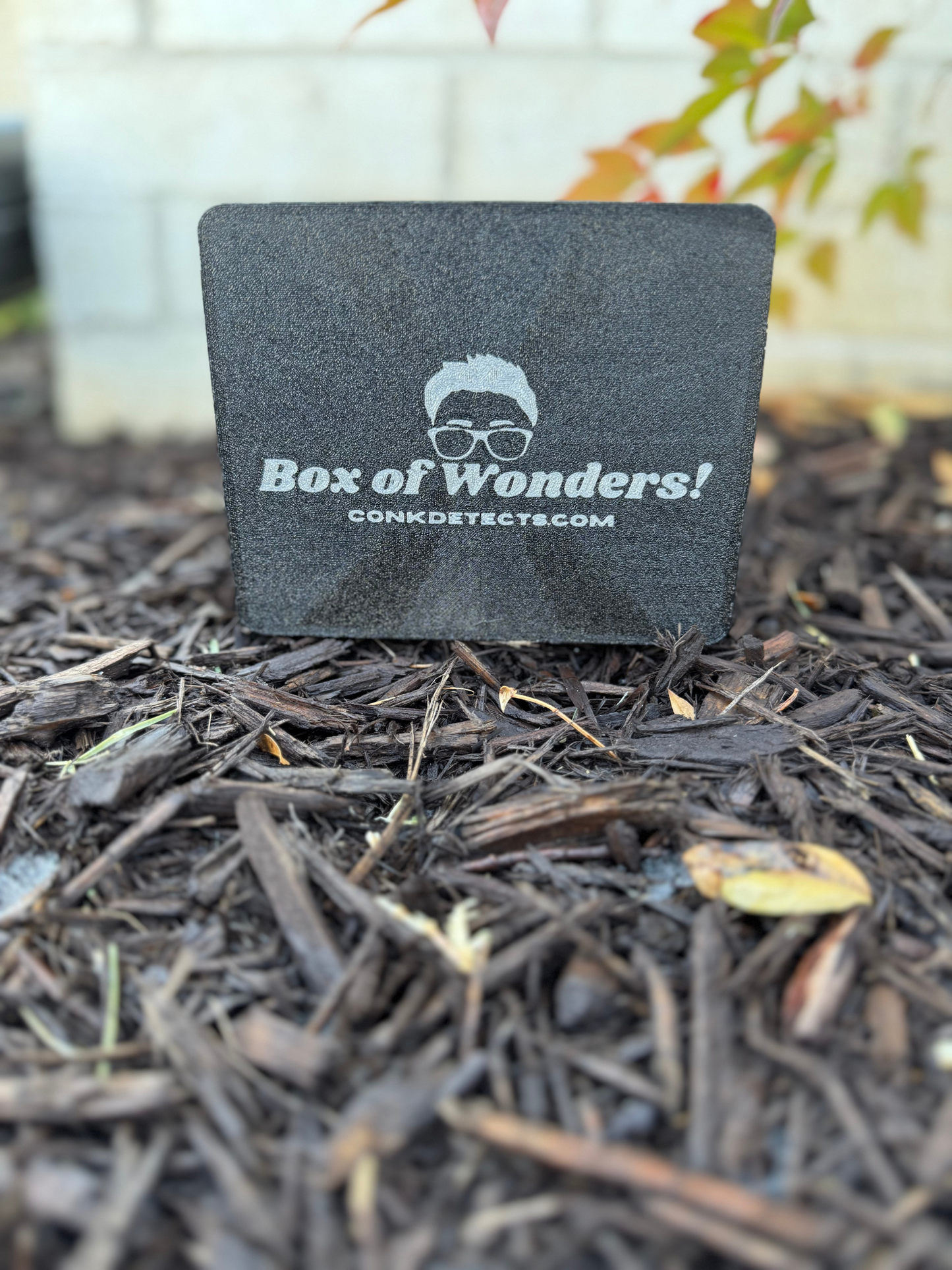 Box of Wonders™ – Premium Metal Detecting Finds Box (Made in USA) UNHINGED